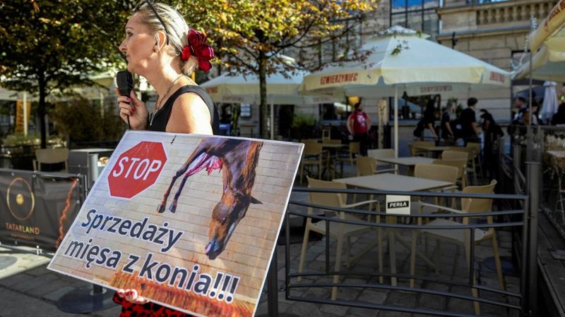 "Лошадей нужно уважать, а не есть": в Польше спорят из-за мяса конины