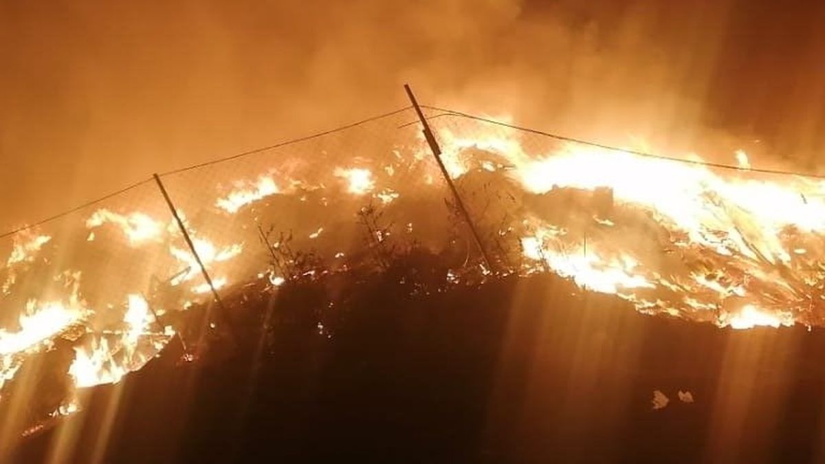пожар, свалка, Алматинская область