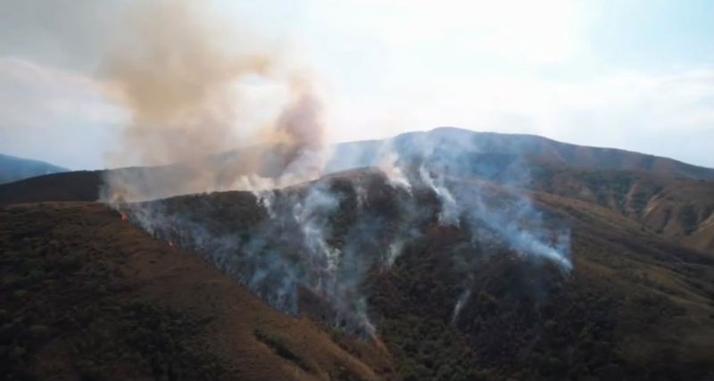 Больше 50 тонн воды уже сбросили: сухостой загорелся в горах Алматинской области