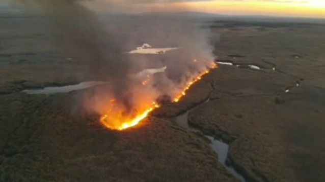 Лесной пожар разгорелся в Алакольском заповеднике