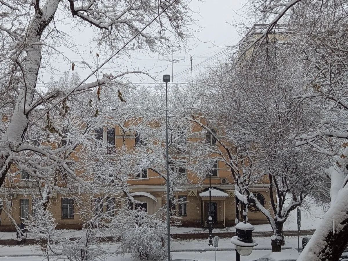 Алматы, снег, погода, заморозки