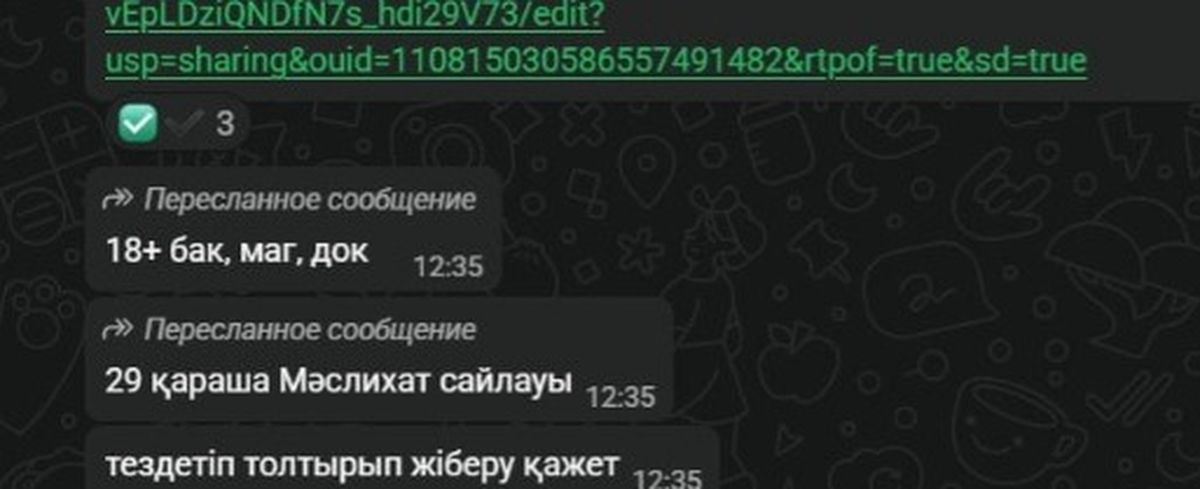 Скриншот из чата магистрантов 1 курса ЕНУ