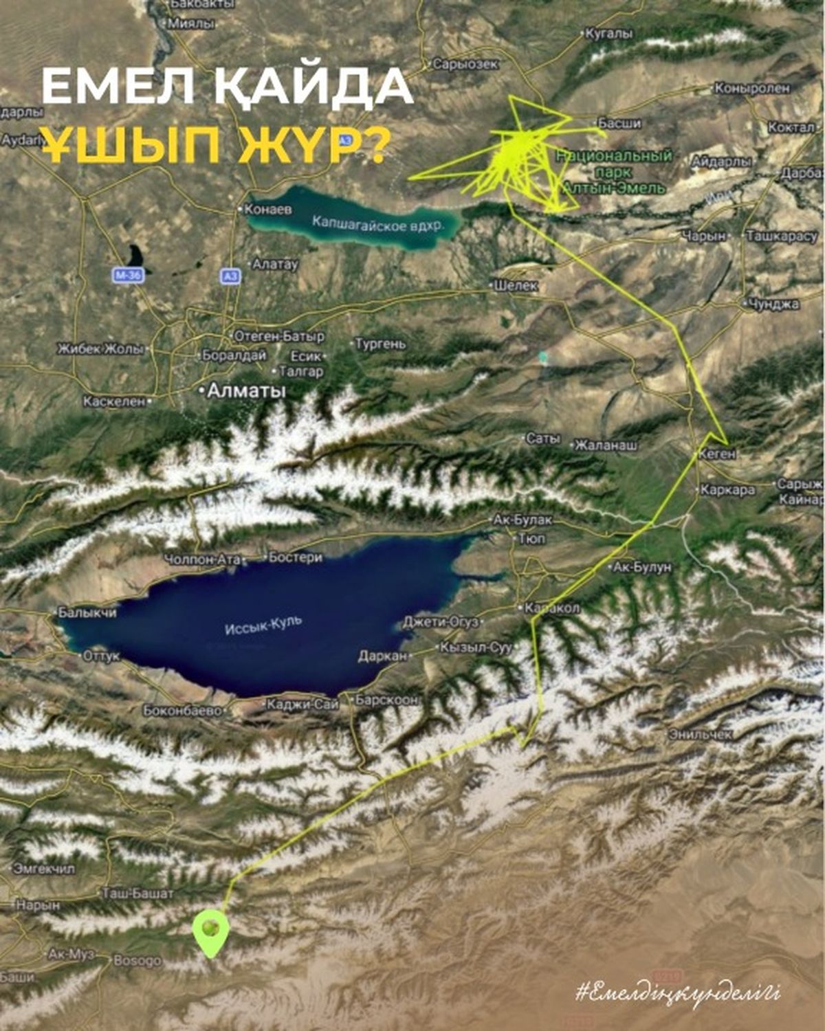 карта