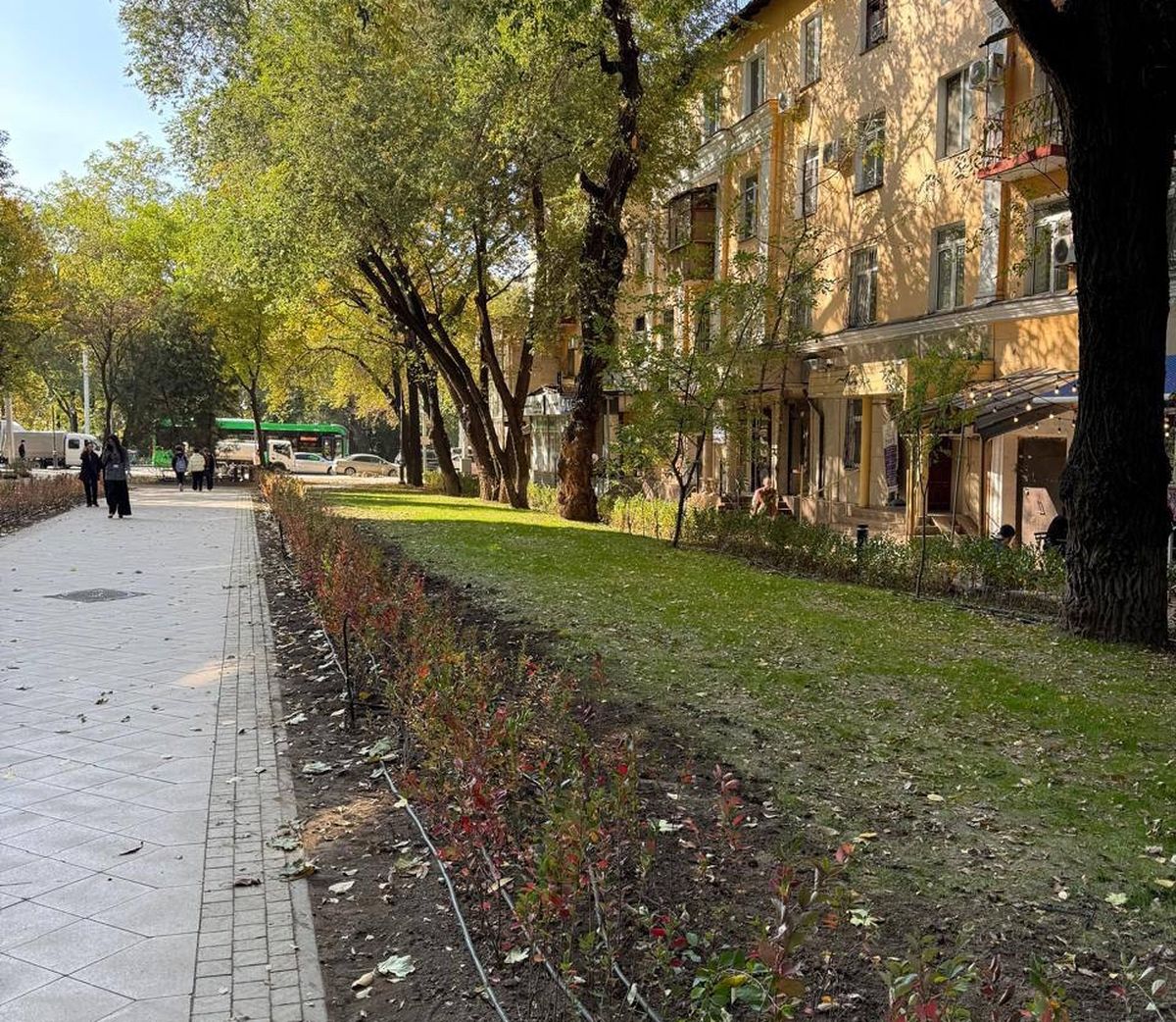 Аллея в Алматы
